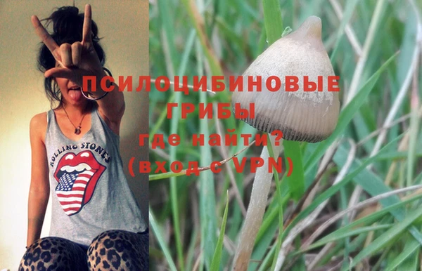 молекула духа Корсаков