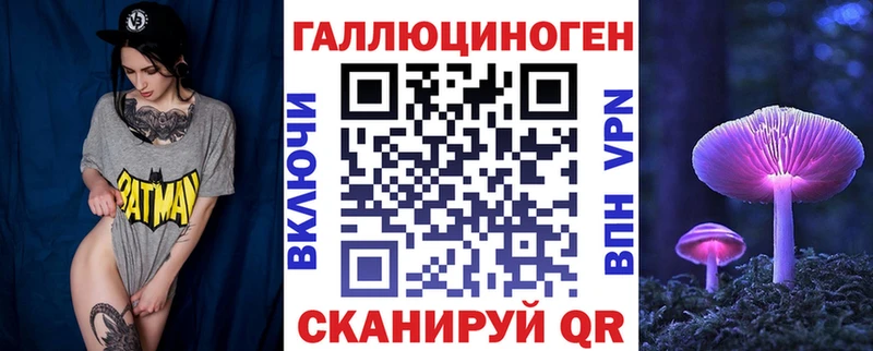 Псилоцибиновые грибы Psilocybe  Купить где  Таганрог 